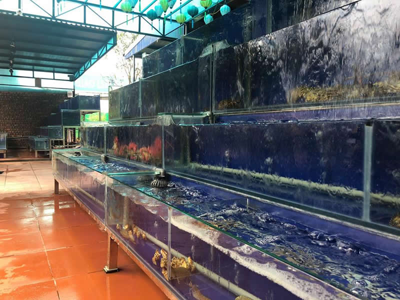 Nhà hàng Phố Biển Cửa Lò Nghệ An