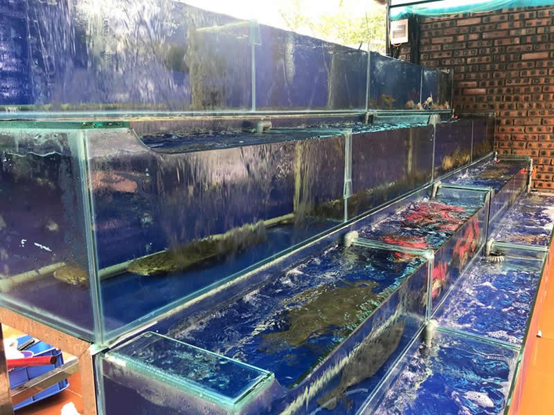 Nhà hàng Phố Biển Cửa Lò Nghệ An