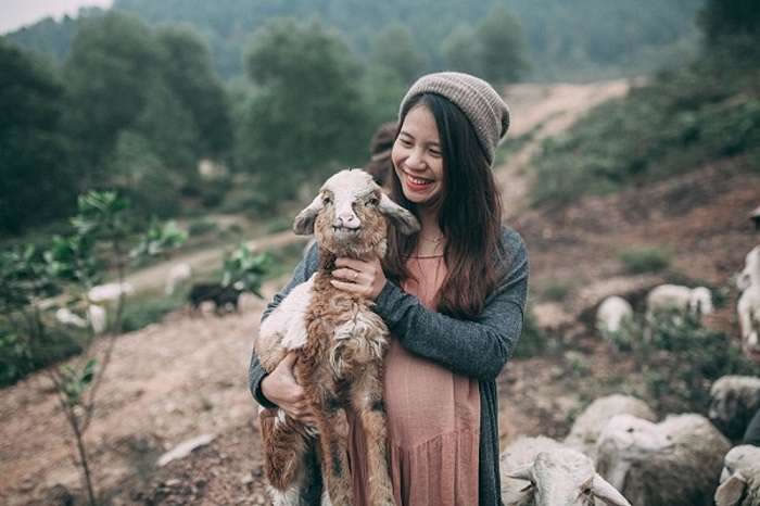 Trại nuôi cừu Yên Thành Nghệ An